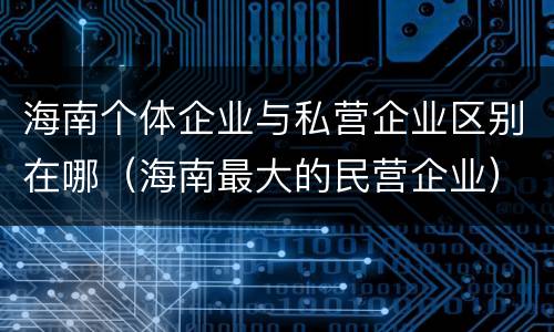 海南个体企业与私营企业区别在哪（海南最大的民营企业）