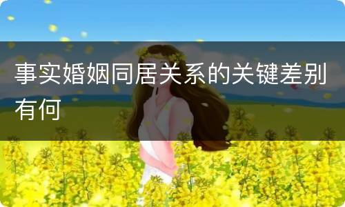 事实婚姻同居关系的关键差别有何