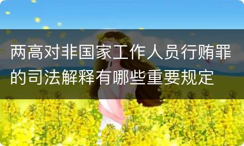 两高对非国家工作人员行贿罪的司法解释有哪些重要规定