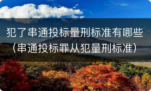 犯了串通投标量刑标准有哪些（串通投标罪从犯量刑标准）