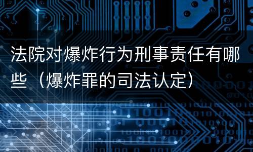 法院对爆炸行为刑事责任有哪些（爆炸罪的司法认定）