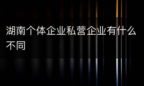 湖南个体企业私营企业有什么不同