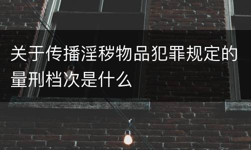 关于传播淫秽物品犯罪规定的量刑档次是什么