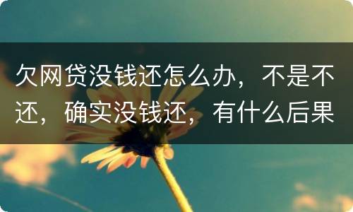 欠网贷没钱还怎么办，不是不还，确实没钱还，有什么后果吗