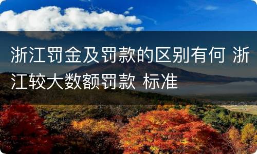 浙江罚金及罚款的区别有何 浙江较大数额罚款 标准