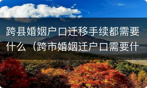 跨县婚姻户口迁移手续都需要什么（跨市婚姻迁户口需要什么手续）