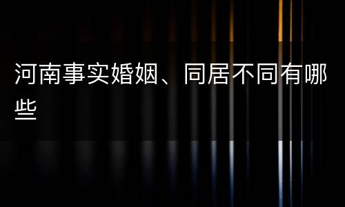 河南事实婚姻、同居不同有哪些