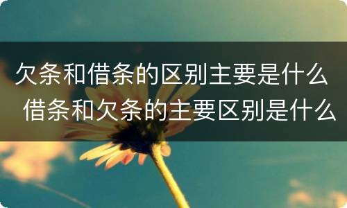 欠条和借条的区别主要是什么 借条和欠条的主要区别是什么?