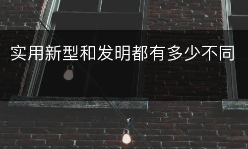 实用新型和发明都有多少不同