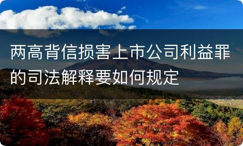 两高背信损害上市公司利益罪的司法解释要如何规定
