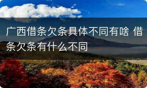 广西借条欠条具体不同有啥 借条欠条有什么不同