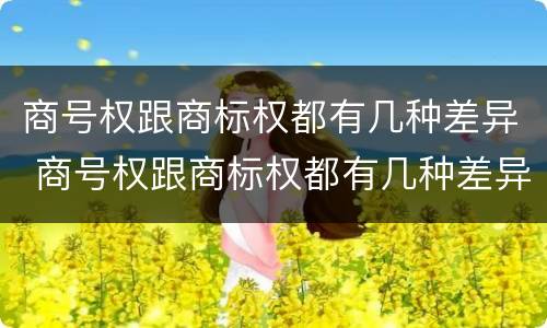 商号权跟商标权都有几种差异 商号权跟商标权都有几种差异吗
