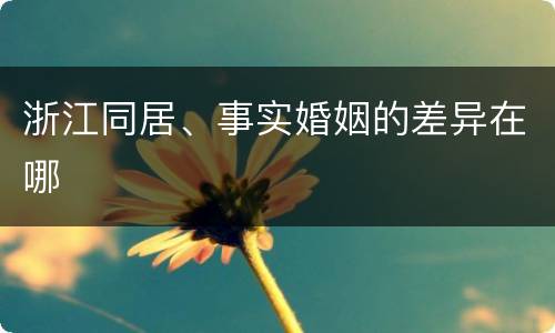 浙江同居、事实婚姻的差异在哪