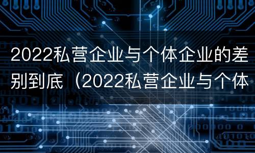 2022私营企业与个体企业的差别到底（2022私营企业与个体企业的差别到底有多大）