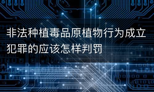 非法种植毒品原植物行为成立犯罪的应该怎样判罚