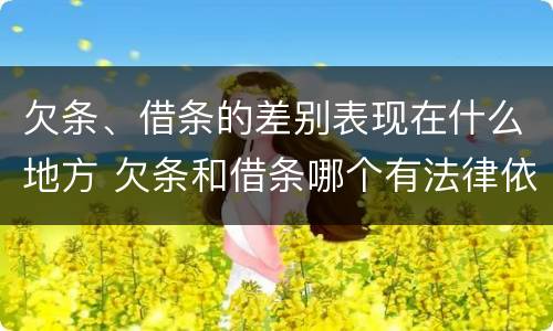 欠条、借条的差别表现在什么地方 欠条和借条哪个有法律依据