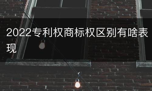 2022专利权商标权区别有啥表现