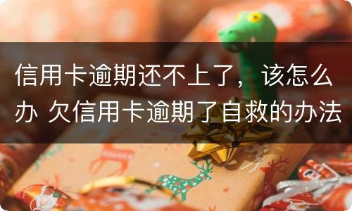信用卡逾期还不上了，该怎么办 欠信用卡逾期了自救的办法