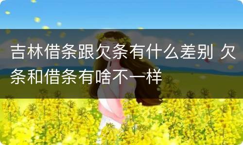 吉林借条跟欠条有什么差别 欠条和借条有啥不一样