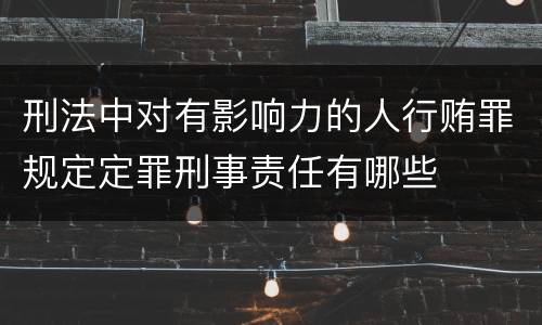 刑法中对有影响力的人行贿罪规定定罪刑事责任有哪些