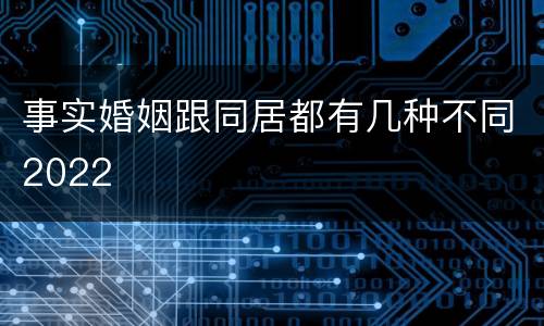 事实婚姻跟同居都有几种不同2022