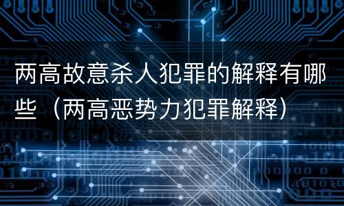 两高故意杀人犯罪的解释有哪些（两高恶势力犯罪解释）