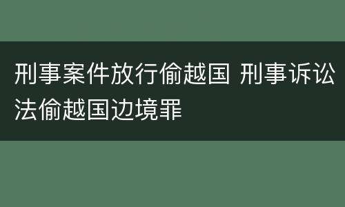 刑事案件放行偷越国 刑事诉讼法偷越国边境罪