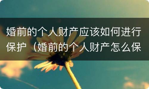 婚前的个人财产应该如何进行保护（婚前的个人财产怎么保护）