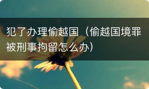 犯了办理偷越国（偷越国境罪被刑事拘留怎么办）