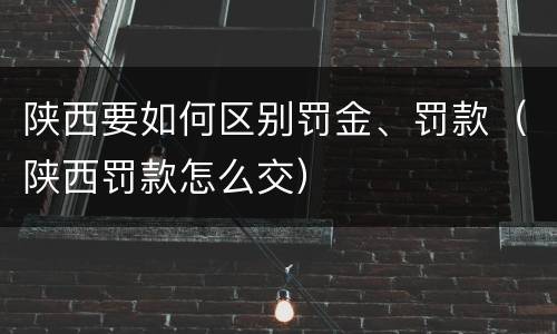 陕西要如何区别罚金、罚款（陕西罚款怎么交）