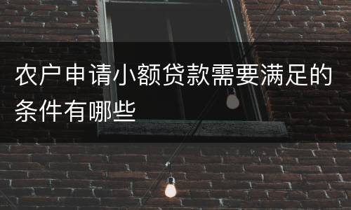 农户申请小额贷款需要满足的条件有哪些