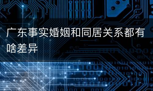 广东事实婚姻和同居关系都有啥差异