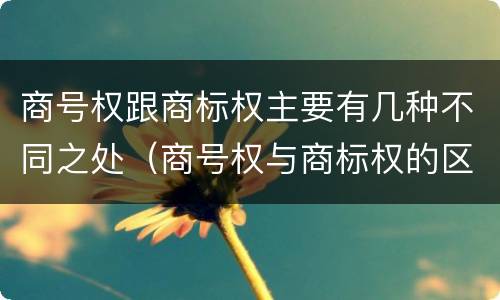 商号权跟商标权主要有几种不同之处（商号权与商标权的区别）