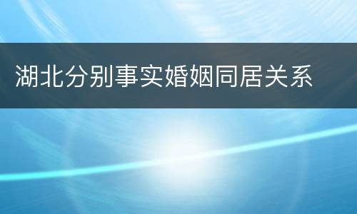 湖北分别事实婚姻同居关系