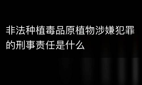 非法种植毒品原植物涉嫌犯罪的刑事责任是什么