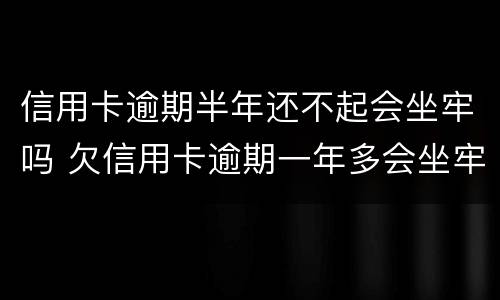 信用卡逾期半年还不起会坐牢吗 欠信用卡逾期一年多会坐牢吗