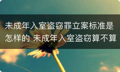未成年入室盗窃罪立案标准是怎样的 未成年入室盗窃算不算刑事案件