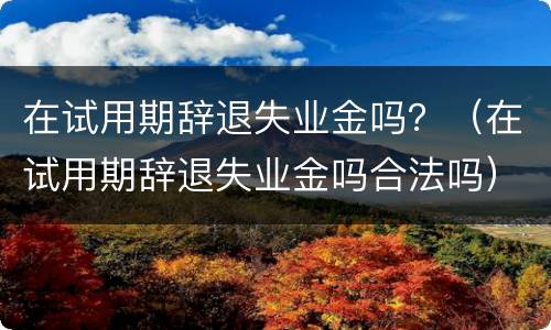 在试用期辞退失业金吗？（在试用期辞退失业金吗合法吗）