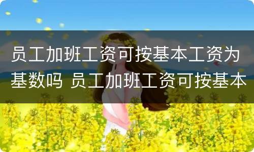 员工加班工资可按基本工资为基数吗 员工加班工资可按基本工资为基数吗合法吗