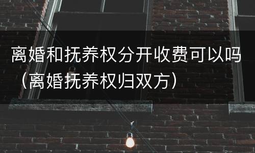 离婚和抚养权分开收费可以吗（离婚抚养权归双方）