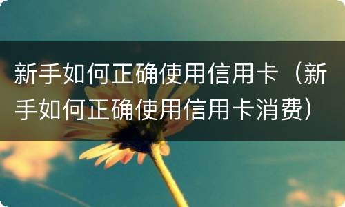 新手如何正确使用信用卡（新手如何正确使用信用卡消费）