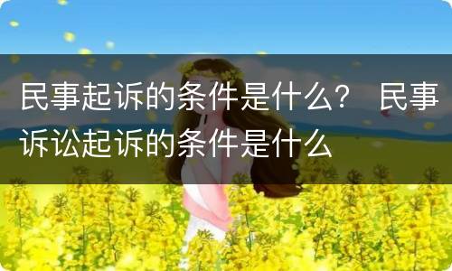 民事起诉的条件是什么？ 民事诉讼起诉的条件是什么