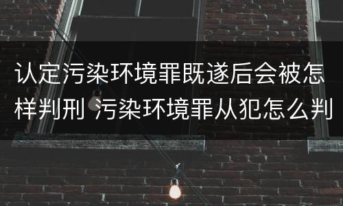认定污染环境罪既遂后会被怎样判刑 污染环境罪从犯怎么判