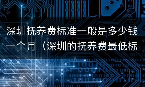 深圳抚养费标准一般是多少钱一个月（深圳的抚养费最低标准）