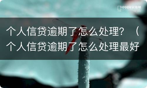 个人信贷逾期了怎么处理？（个人信贷逾期了怎么处理最好）
