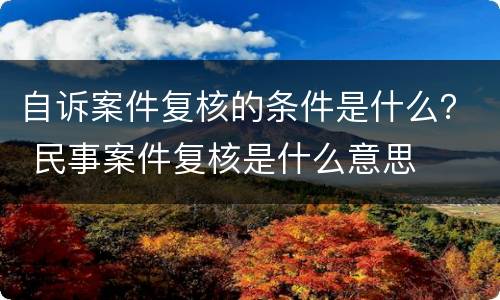 自诉案件复核的条件是什么？ 民事案件复核是什么意思