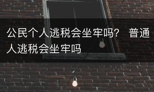 公民个人逃税会坐牢吗？ 普通人逃税会坐牢吗