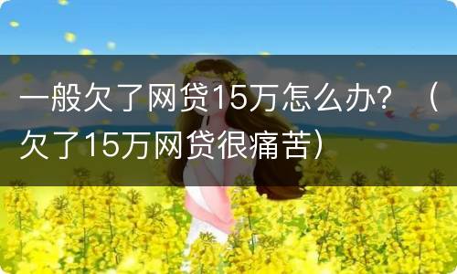 一般欠了网贷15万怎么办？（欠了15万网贷很痛苦）