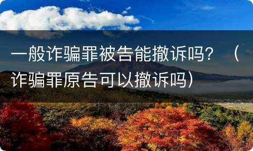 一般诈骗罪被告能撤诉吗？（诈骗罪原告可以撤诉吗）