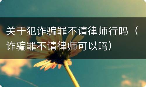 关于犯诈骗罪不请律师行吗（诈骗罪不请律师可以吗）